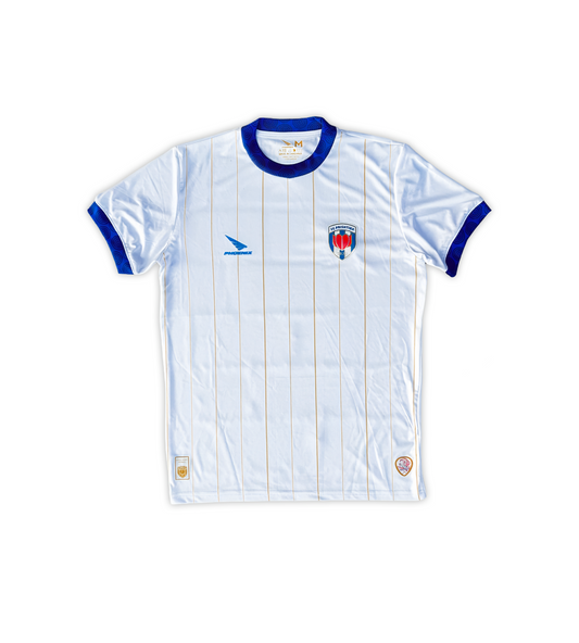 FC Prishtina home s25