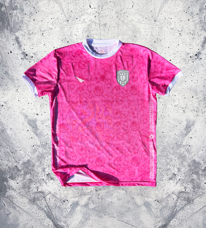 FC PRISHTINA GK jersey pink