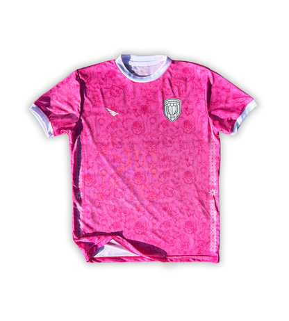 FC PRISHTINA GK jersey pink